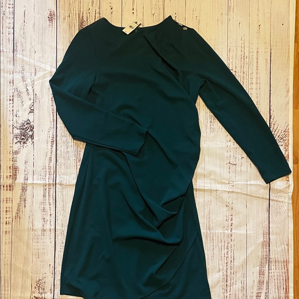 Express Forest Green Long Sleeve Draped Dress